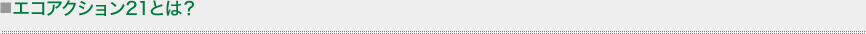 エコアクション21とは？
